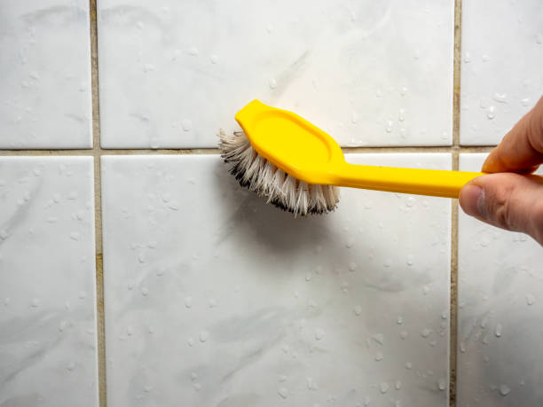 Best Professional Mold Removal  in West Haven, CT