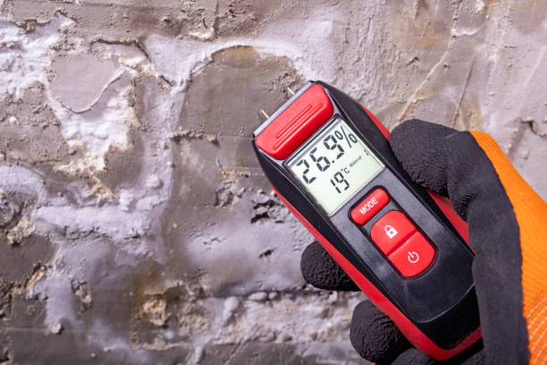 Best Crawl Space Mold Removal  in West Haven, CT
