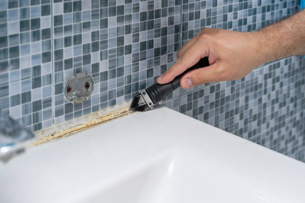 Best Best Mold Removal Companies  in West Haven, CT